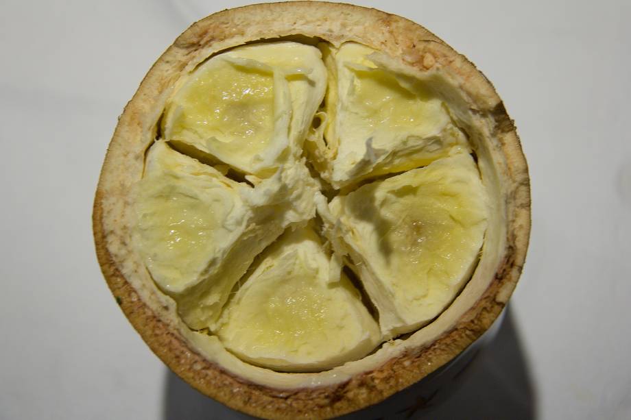 <strong>1. Cupuaçu</strong>De sabor e aroma marcantes, o <strong>cupuaçu</strong> é um fruto amazônico muito utilizado em balas, compotas, bombons, pudins e outras sobremesas. Segundo o chef Cláudio Procópio, a <a href="https://viajeaqui.abril.com.br/materias/12-delicias-da-amazonia?foto=2#2" rel="mousse de cupuaçu" target="_blank">mousse de cupuaçu</a> é uma das sobremesas mais pedidas onde ele trabalha, no Iberostar Grand Amazon, que navega pelos rios Negro e Solimões