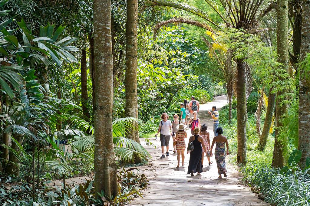 O exuberante jardim do <a href="https://viajeaqui.abril.com.br/estabelecimentos/br-mg-brumadinho-atracao-instituto-inhotim" rel="Instituto Inhotim" target="_blank">Instituto Inhotim</a> ostenta uma das maiores cole&ccedil;&otilde;es de esp&eacute;cies vivas entre todos os jardins bot&acirc;nicos do <a href="https://viajeaqui.abril.com.br/paises/brasil" rel="Brasil" target="_blank">Brasil</a>