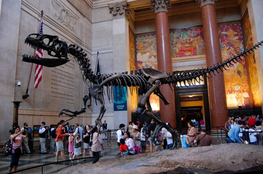 O Museu de História Natural costuma ser uma das atrações mais disputadas em Nova York por famílias com crianças. Esqueletos de dinossauros e animais empalhados estão entre os destaques O Museu de História Natural costuma ser uma das atrações mais disputadas em Nova York por famílias com crianças. Esqueletos de dinossauros e animais empalhados estão entre os destaques