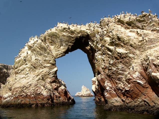 O arquipélago formado pelas Ilhas Ballestas pode ser acessado a partir do porto de Paracas e abriga diversas espécies de aves e animais marinhos, dentre os quais destacam-se o pinguim de humboldt, espécie nativa da América do Sul, pelicanos, lobos e leões marinhos. Os passeios de barco realizados por aqui permitem com que os turistas avistem esses animais e as formações rochosas que o caracterizam O arquipélago formado pelas Ilhas Ballestas pode ser acessado a partir do porto de Paracas e abriga diversas espécies de aves e animais marinhos, dentre os quais destacam-se o pinguim de humboldt, espécie nativa da América do Sul, pelicanos, lobos e leões marinhos. Os passeios de barco realizados por aqui permitem com que os turistas avistem esses animais e as formações rochosas que o caracterizam