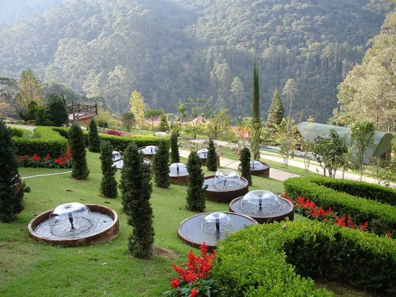 Um dos projetos paisagísticos do Jardins dos Pinhais, um dos passeios mais instagramáveis de Santo Antônio do Pinhal Um dos projetos paisagísticos do Jardins dos Pinhais, um dos passeios mais instagramáveis de Santo Antônio do Pinhal