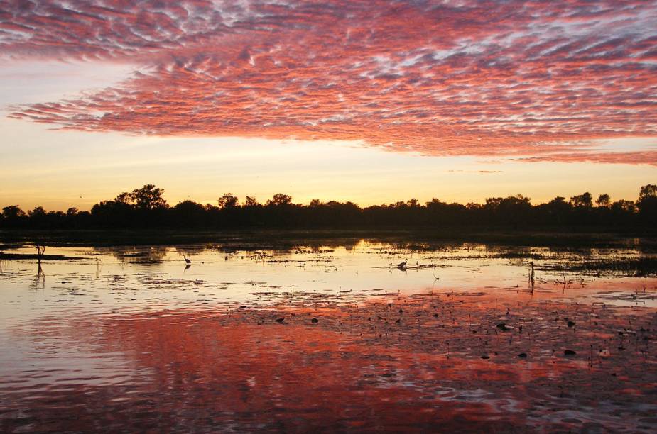 <strong><a href="https://viajeaqui.abril.com.br/estabelecimentos/australia-darwin-atracao-parque-nacional-de-kakadu" target="_blank">Kakadu</a> - <a href="https://viajeaqui.abril.com.br/paises/australia" target="_blank">Austr&aacute;lia </a></strong>