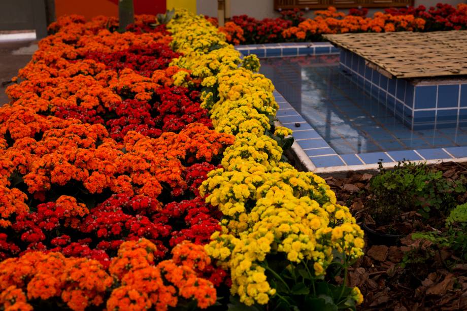 O evento marca as boas-vindas à primavera e é uma das marcas registradas de Holambra O evento marca as boas-vindas à primavera e é uma das marcas registradas de Holambra