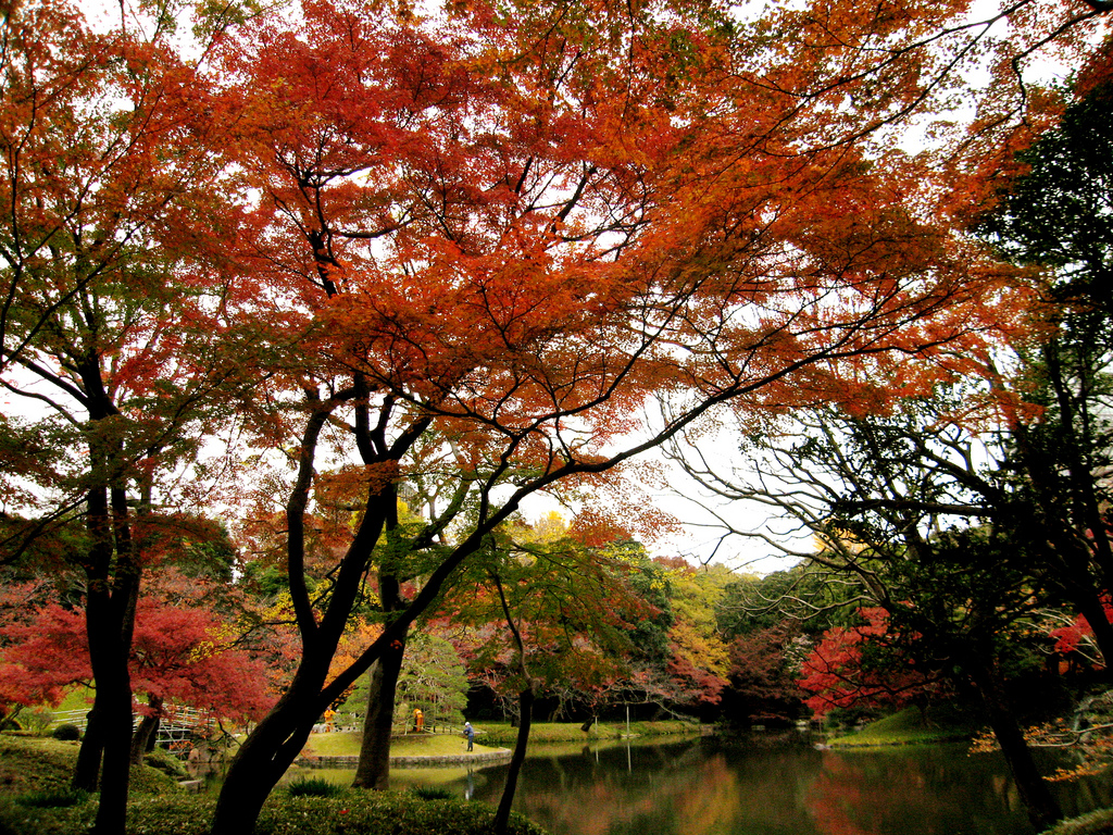 Koishikawa Korakunen, Tóquio, Japão Koishikawa Korakunen, Tóquio, Japão