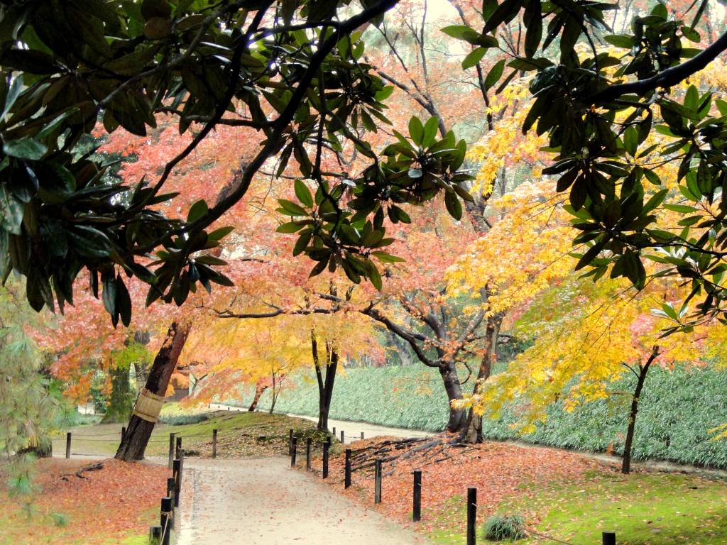 Parque Korakuen, na cidade de Okayama, no Japão, durante o mês de dezembro Parque Korakuen, na cidade de Okayama, no Japão, durante o mês de dezembro
