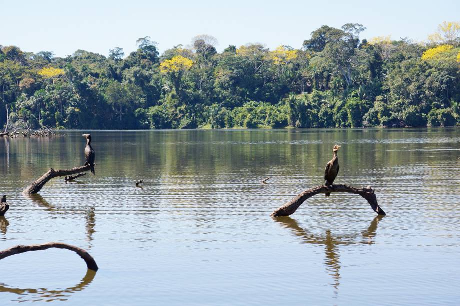 Localizado a duas horas da cidade de Puerto Maldonado, que possui pouco mais de 38 mil habitantes, o Lago Sandoval guarda diversas espécies de plantas e é marcado por uma vida selvagem, com animais crocodilos cercando a região. Suas águas claras e tranquilas ficam dentro do território da Reserva Nacional Tambopata, criada em setembro de 2000 e com uma extensão de mais de 274 mil hectares Localizado a duas horas da cidade de Puerto Maldonado, que possui pouco mais de 38 mil habitantes, o Lago Sandoval guarda diversas espécies de plantas e é marcado por uma vida selvagem, com animais crocodilos cercando a região. Suas águas claras e tranquilas ficam dentro do território da Reserva Nacional Tambopata, criada em setembro de 2000 e com uma extensão de mais de 274 mil hectares