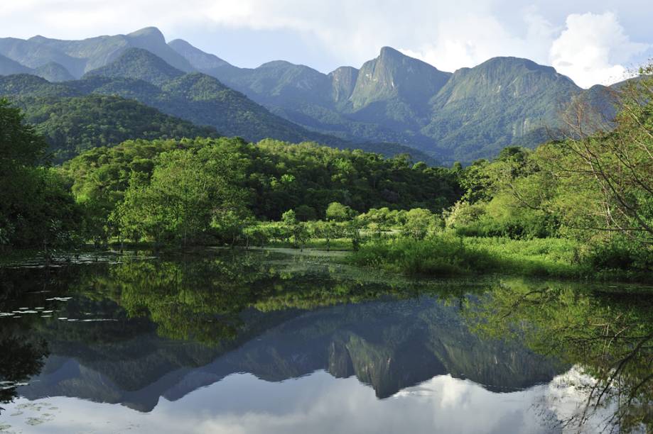 Os alagados da <strong>Reserva Ecológica Guapiaçu</strong>, no município de Cachoeiras de Macacu, têm continuidade com a <strong>Mata Atlântica</strong> de tabuleiro que se estendem até o Parque Estadual dos Três Picos, na Serra dos Órgãos