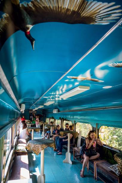 Estampas de onça fazem todo o sentido no Trem do Pantanal Estampas de onça fazem todo o sentido no Trem do Pantanal