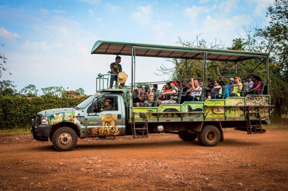 Safári opcional, para quem quiser passar uns dias nas hospedagens de Miranda Safári opcional, para quem quiser passar uns dias nas hospedagens de Miranda