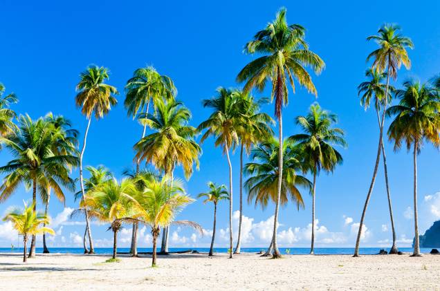 A Praia de Maracas é parada obrigatória para quem visita Trinidad. A Praia de Maracas é parada obrigatória para quem visita Trinidad.