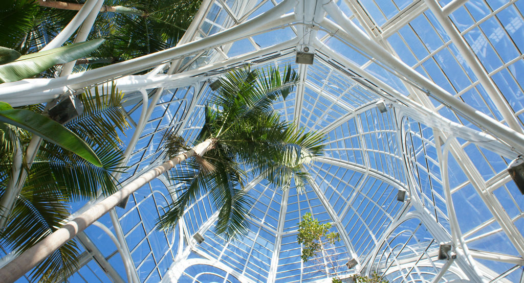 Jardim Bot&acirc;nico de <a href="https://viajeaqui.abril.com.br/cidades/br-pr-curitiba" rel="Curitiba" target="_self">Curitiba</a>, <a href="https://viajeaqui.abril.com.br/estados/br-parana" rel="Paran&aacute;" target="_self">Paran&aacute;</a>