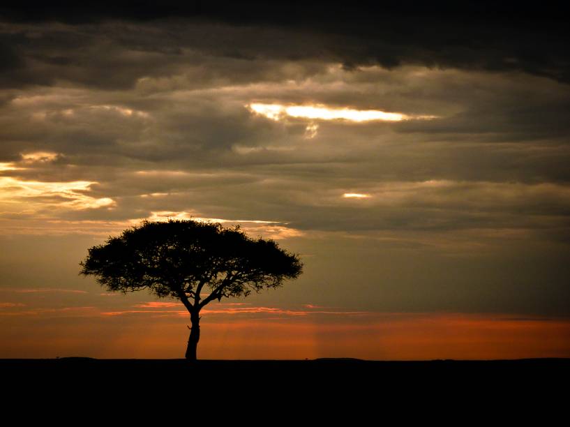 <strong>Parque Nacional Masai Mara, Quênia</strong> Não parece uma paisagem do Rei Leão? O Masai Mara é um dos destinos de safári clássicos das savanas africanas, junto a outros parques de <a href="https://viajeaqui.abril.com.br/paises/tanzania">Tanzânia </a>e <a href="https://viajeaqui.abril.com.br/paises/quenia">Quênia</a>, como o Serengeti e Tsavo. <a href="https://www.booking.com/searchresults.pt-br.html?aid=332455&lang=pt-br&sid=eedbe6de09e709d664615ac6f1b39a5d&sb=1&src=searchresults&src_elem=sb&error_url=https%3A%2F%2Fwww.booking.com%2Fsearchresults.pt-br.html%3Faid%3D332455%3Bsid%3Deedbe6de09e709d664615ac6f1b39a5d%3Bclass_interval%3D1%3Bdest_id%3D187%3Bdest_type%3Dcountry%3Bdtdisc%3D0%3Bgroup_adults%3D2%3Bgroup_children%3D0%3Binac%3D0%3Bindex_postcard%3D0%3Blabel_click%3Dundef%3Bno_rooms%3D1%3Boffset%3D0%3Bpostcard%3D0%3Braw_dest_type%3Dcountry%3Broom1%3DA%252CA%3Bsb_price_type%3Dtotal%3Bsearch_selected%3D1%3Bsrc%3Dsearchresults%3Bsrc_elem%3Dsb%3Bss%3DSenegal%3Bss_all%3D0%3Bss_raw%3DSenegal%3Bssb%3Dempty%3Bsshis%3D0%3Bssne_untouched%3DChina%26%3B&ss=Qu%C3%AAnia&ssne=Senegal&ssne_untouched=Senegal&checkin_monthday=&checkin_month=&checkin_year=&checkout_monthday=&checkout_month=&checkout_year=&no_rooms=1&group_adults=2&group_children=0&highlighted_hotels=&from_sf=1&ss_raw=Qu%C3%AAnia&ac_position=0&ac_langcode=xb&dest_id=109&dest_type=country&search_pageview_id=a5a17400ad32001d&search_selected=true&search_pageview_id=a5a17400ad32001d&ac_suggestion_list_length=3&ac_suggestion_theme_list_length=0" target="_blank" rel="noopener"><em>Busque hospedagens em Quênia no Booking.com</em></a>