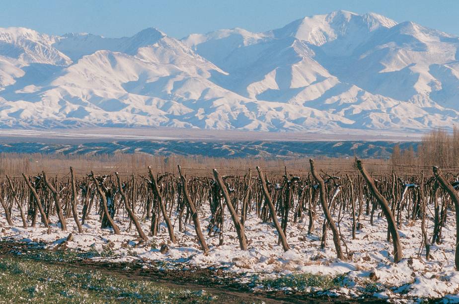 <strong>Mendoza (Argentina): </strong><br /> Poucos lugares do mundo têm tantas opções para tomar um bom vinho no inverno do que <a href="https://viajeaqui.abril.com.br/cidades/ar-mendoza" rel="Mendoza" target="_blank">Mendoza</a>. Com mais de <a href="https://viajeaqui.abril.com.br/estabelecimentos/ar-mendoza-atracao-vinicolas-de-mendoza" rel="1200 vinícolas">1200 vinícolas</a>, caseira e industrais produzindo 10 milhões de hectolitros anuais, a região fixou-se como um destino ideal para quem gosta da bebida e também de neve.<br /> A autointitulada <em>Terra do Sol e do Bom Vinho </em>também é conhecida pelo <a href="https://viajeaqui.abril.com.br/estabelecimentos/ar-mendoza-atracao-tour-de-alta-montanha" rel="Cerro Aconcágua">Cerro Aconcágua</a>, a mais alta montanha do planeta fora da Ásia, cujos títulos como <em>Sentinela de Pedra </em>e <em>Teto das Américas </em>fazem jus aos seus imponentes 6.962 metros de altura. Conquistar seu cume é para poucos, mas apreciá-lo a partir do <a href="https://viajeaqui.abril.com.br/estabelecimentos/ar-mendoza-atracao-parque-provincial-aconcagua" rel="Parque Provincial Aconcágua">Parque Provincial Aconcágua</a>, em terreno bem firme, já é suficiente para deslumbrar os visitantes <strong>Mendoza (Argentina): </strong><br /> Poucos lugares do mundo têm tantas opções para tomar um bom vinho no inverno do que <a href="https://viajeaqui.abril.com.br/cidades/ar-mendoza" rel="Mendoza" target="_blank">Mendoza</a>. Com mais de <a href="https://viajeaqui.abril.com.br/estabelecimentos/ar-mendoza-atracao-vinicolas-de-mendoza" rel="1200 vinícolas">1200 vinícolas</a>, caseira e industrais produzindo 10 milhões de hectolitros anuais, a região fixou-se como um destino ideal para quem gosta da bebida e também de neve.<br /> A autointitulada <em>Terra do Sol e do Bom Vinho </em>também é conhecida pelo <a href="https://viajeaqui.abril.com.br/estabelecimentos/ar-mendoza-atracao-tour-de-alta-montanha" rel="Cerro Aconcágua">Cerro Aconcágua</a>, a mais alta montanha do planeta fora da Ásia, cujos títulos como <em>Sentinela de Pedra </em>e <em>Teto das Américas </em>fazem jus aos seus imponentes 6.962 metros de altura. Conquistar seu cume é para poucos, mas apreciá-lo a partir do <a href="https://viajeaqui.abril.com.br/estabelecimentos/ar-mendoza-atracao-parque-provincial-aconcagua" rel="Parque Provincial Aconcágua">Parque Provincial Aconcágua</a>, em terreno bem firme, já é suficiente para deslumbrar os visitantes