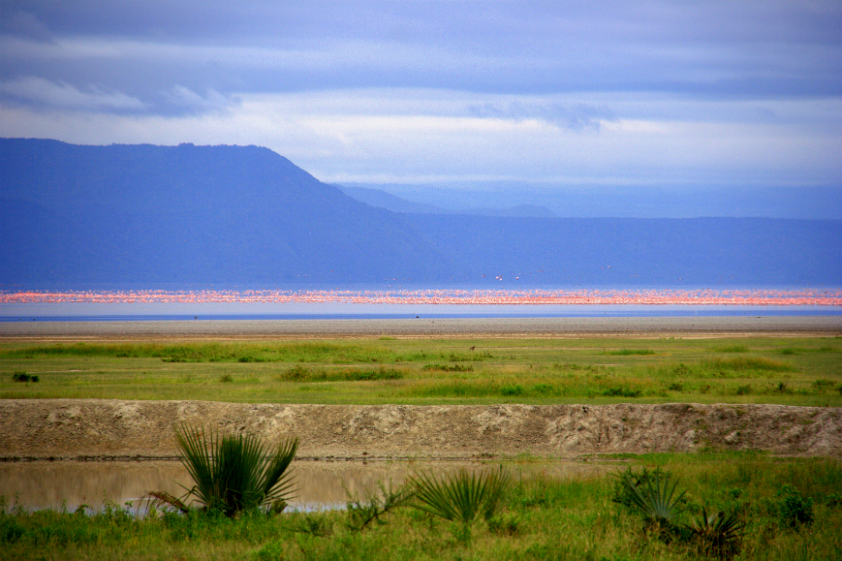 <strong><a href="https://www.lakemanyara.net/" target="_blank" rel="noopener">Parque Nacional do Lago Manyara</a>, Karatu, Tanzânia</strong> O parque ocupa uma área de aproximadamente 32 mil hectares, cobrindo terras áridas, florestas e lagos. Por aqui, é possível encontrar animais como leopardos e girafas, além de mais de 400 espécies de aves <em><a href="https://www.booking.com/searchresults.pt-br.html?aid=332455&sid=b6bf542626b1a2c7a9951e44506f270a&sb=1&src=searchresults&src_elem=sb&error_url=https%3A%2F%2Fwww.booking.com%2Fsearchresults.pt-br.html%3Faid%3D332455%3Bsid%3Db6bf542626b1a2c7a9951e44506f270a%3Btmpl%3Dsearchresults%3Bac_click_type%3Db%3Bac_position%3D0%3Bclass_interval%3D1%3Bdest_id%3D14665%3Bdest_type%3Dregion%3Bdtdisc%3D0%3Bfrom_sf%3D1%3Bgroup_adults%3D2%3Bgroup_children%3D0%3Binac%3D0%3Bindex_postcard%3D0%3Blabel_click%3Dundef%3Bno_rooms%3D1%3Boffset%3D0%3Bpostcard%3D0%3Braw_dest_type%3Dregion%3Broom1%3DA%252CA%3Bsb_price_type%3Dtotal%3Bsearch_selected%3D1%3Bshw_aparth%3D1%3Bslp_r_match%3D0%3Bsrc%3Dsearchresults%3Bsrc_elem%3Dsb%3Bsrpvid%3D09ac81fe9dd70131%3Bss%3DEtosha%2520National%2520Park%252C%2520Nam%25C3%25ADbia%3Bss_all%3D0%3Bss_raw%3DEtosha%2520national%2520park%3Bssb%3Dempty%3Bsshis%3D0%3Bssne%3DRepovesi%2520National%2520Park%252C%2520Kouvola%252C%2520Finland%3Bssne_untouched%3DRepovesi%2520National%2520Park%252C%2520Kouvola%252C%2520Finland%3Btop_ufis%3D1%26%3B&ss=Lago+Manyara%2C+Lake+Manyara+National+Park%2C+Tanzania&is_ski_area=&ssne=Etosha+National+Park&ssne_untouched=Etosha+National+Park&checkin_monthday=&checkin_month=&checkin_year=&checkout_monthday=&checkout_month=&checkout_year=&group_adults=2&group_children=0&no_rooms=1&from_sf=1&ss_raw=Lago+Manyara+national+park&ac_position=1&ac_click_type=g&dest_id=ChIJ63IcVZ3TNRgR82FUItOxioY&dest_type=landmark&place_id=ChIJ63IcVZ3TNRgR82FUItOxioY&place_id_lat=-3.6190593&place_id_lon=35.8061779&place_types=natural_feature%2Cestablishment&search_pageview_id=09ac81fe9dd70131&search_selected=true" target="_blank" rel="noopener">Veja preços de hotéis próximos ao Lago Manyara no Booking.com</a></em>