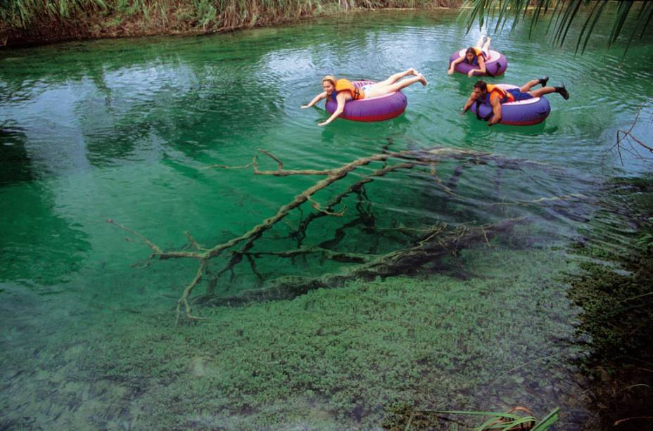 Turistas praticando <strong>boia-cross</strong> em Bonito, Mato Grosso do Sul Turistas praticando <strong>boia-cross</strong> em Bonito, Mato Grosso do Sul