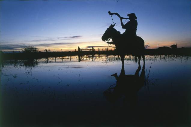 <strong><a href="https://viajeaqui.abril.com.br/cidades/br-ms-bonito" rel="Bonito " target="_blank">Bonito</a> e Pantanal, <a href="https://viajeaqui.abril.com.br/estados/br-mato-grosso-do-sul" rel="Mato Grosso do Sul" target="_blank">Mato Grosso do Sul</a></strong> Para as nossas crianças, tão acostumadas com animais como pinguins, elefantes e girafas, um passeio ao Pantanal é uma boa forma de conhecer um pouco da fauna brasileira. A lista é longa e diversificada: araras, tucanos, bugios, macacos-prego, tamanduás bandeira e mirim, cachorro do mato, queixadas, catetos, quatis, veados, tuiuiús, jacarés, lontras, ariranhas e capivaras. Vá na época da seca, entre julho e setembro, para ter mais chances de ver os mamíferos, mais populares entre as crianças. Outra atividade concorrida é a cavalgada, mas só para os maiores de oito anos.Em Bonito, o rol de opções é irresistível: descer corredeiras em botes de borracha, explorar grutas e, a maior atração na região, fazer as flutuações nos rios <a href="https://viajeaqui.abril.com.br/estabelecimentos/br-ms-bonito-atracao-flutuacao-no-rio-sucuri" rel="Sucuri " target="_blank">Sucuri </a>e da <a href="https://viajeaqui.abril.com.br/estabelecimentos/br-ms-bonito-atracao-flutuacao-no-rio-da-prata" rel="Prata" target="_blank">Prata</a>, entre cardumes de pacus, piraputangas e dourados <strong><a href="https://viajeaqui.abril.com.br/cidades/br-ms-bonito" rel="Bonito " target="_blank">Bonito</a> e Pantanal, <a href="https://viajeaqui.abril.com.br/estados/br-mato-grosso-do-sul" rel="Mato Grosso do Sul" target="_blank">Mato Grosso do Sul</a></strong> Para as nossas crianças, tão acostumadas com animais como pinguins, elefantes e girafas, um passeio ao Pantanal é uma boa forma de conhecer um pouco da fauna brasileira. A lista é longa e diversificada: araras, tucanos, bugios, macacos-prego, tamanduás bandeira e mirim, cachorro do mato, queixadas, catetos, quatis, veados, tuiuiús, jacarés, lontras, ariranhas e capivaras. Vá na época da seca, entre julho e setembro, para ter mais chances de ver os mamíferos, mais populares entre as crianças. Outra atividade concorrida é a cavalgada, mas só para os maiores de oito anos.Em Bonito, o rol de opções é irresistível: descer corredeiras em botes de borracha, explorar grutas e, a maior atração na região, fazer as flutuações nos rios <a href="https://viajeaqui.abril.com.br/estabelecimentos/br-ms-bonito-atracao-flutuacao-no-rio-sucuri" rel="Sucuri " target="_blank">Sucuri </a>e da <a href="https://viajeaqui.abril.com.br/estabelecimentos/br-ms-bonito-atracao-flutuacao-no-rio-da-prata" rel="Prata" target="_blank">Prata</a>, entre cardumes de pacus, piraputangas e dourados