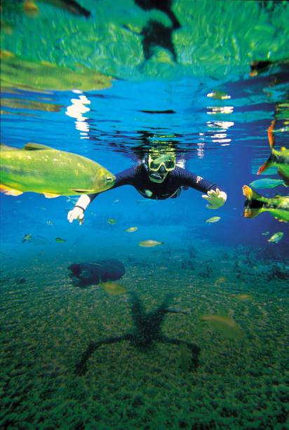 <strong>Flutuação no Rio Sucuri, Bonito, Mato Grosso do Sul </strong> — A transparência da água é impressionante. Piraputangas, pintados, dourados e pacus parecem flutuar a sua volta durante o passeio pelo Rio Sucuri, em Bonito (MS)