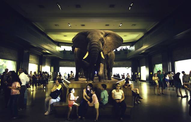 <strong>1. <a href="https://viajeaqui.abril.com.br/estabelecimentos/estados-unidos-nova-york-atracao-museum-of-natural-history" rel="Museu de História Natural" target="_blank">Museu de História Natural</a></strong> Essa é uma das atrações mais incríveis da cidade, com instalações bem cuidadas e fascinantes. Do último andar, é possível ter uma visão panorâmica do <a href="https://viajeaqui.abril.com.br/estabelecimentos/estados-unidos-nova-york-atracao-central-park" rel="Central Park" target="_self">Central Park</a> (que não indicamos nesta época do ano) <strong>1. <a href="https://viajeaqui.abril.com.br/estabelecimentos/estados-unidos-nova-york-atracao-museum-of-natural-history" rel="Museu de História Natural" target="_blank">Museu de História Natural</a></strong> Essa é uma das atrações mais incríveis da cidade, com instalações bem cuidadas e fascinantes. Do último andar, é possível ter uma visão panorâmica do <a href="https://viajeaqui.abril.com.br/estabelecimentos/estados-unidos-nova-york-atracao-central-park" rel="Central Park" target="_self">Central Park</a> (que não indicamos nesta época do ano)