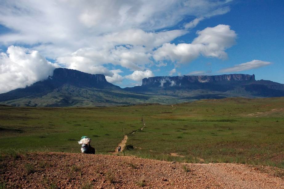 <strong>Montes Kukenan e Roraima, tríplice fronteira de Brasil, Guiana e <a href="https://viajeaqui.abril.com.br/paises/venezuela" rel="Venezuela" target="_blank">Venezuela</a></strong>De todas as montanhas da lista, os montes Kukenakan e <a href="https://viajeaqui.abril.com.br/estados/br-roraima" rel="Roraima" target="_blank">Roraima</a> têm a vantagem de ter um topo repleto de vida, com formações geológicas ancestrais e vistas deslumbrantes que inspiraram sir <strong>Arthur Conan Doyle </strong>e os artistas da Pixar a criar obras como <em>O Mundo Perdido</em> e <em>Up!</em>