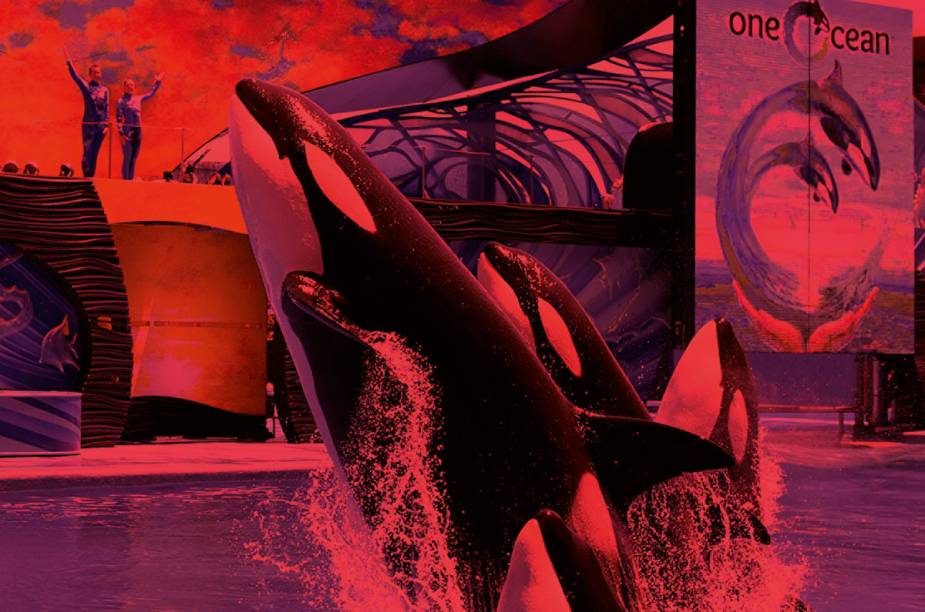 Show da Shamu