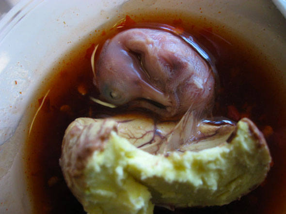 O prato típico das Filipinas e sudeste da Ásia chamado <strong>balut</strong> é uma variação do ovo cozido, para dizer de uma forma mais sutil. Essa comida é, na verdade, um ovo de pato fecundado, em que o embrião já está quase completamente formado, que é cozido e, depois, temperado com sal ou pimenta, alho e vinagre. Nas Filipinas, esse item pertence à alta gastronomia, sendo servido em restaurantes como aperitivo, pratos cozidos, frito com omeletes ou como recheio de pasteis. Nesse e em outros países, é possível encontrar essa iguaria em barracas de comida nas ruas. O prato típico das Filipinas e sudeste da Ásia chamado <strong>balut</strong> é uma variação do ovo cozido, para dizer de uma forma mais sutil. Essa comida é, na verdade, um ovo de pato fecundado, em que o embrião já está quase completamente formado, que é cozido e, depois, temperado com sal ou pimenta, alho e vinagre. Nas Filipinas, esse item pertence à alta gastronomia, sendo servido em restaurantes como aperitivo, pratos cozidos, frito com omeletes ou como recheio de pasteis. Nesse e em outros países, é possível encontrar essa iguaria em barracas de comida nas ruas.