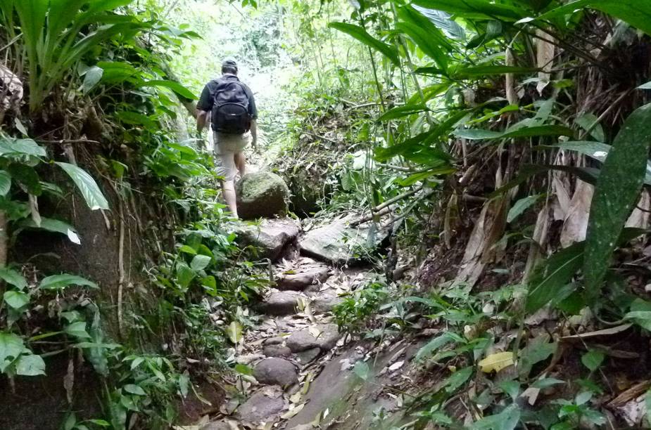 Trilha para a Cachoeira do Gato tem subidas e descidas; vá preparado com tênis, roupa adequada e muito repelente para evitar os borrachudos que se proliferam na mata