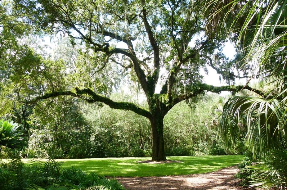 <strong>Bok Tower Gardens</strong>                                                            Para conhecer o jardim, reserve pelo menos duas horas. O passeio é feito à pé e o local tem uma leve inclinação. O ponto mais alto é a torre