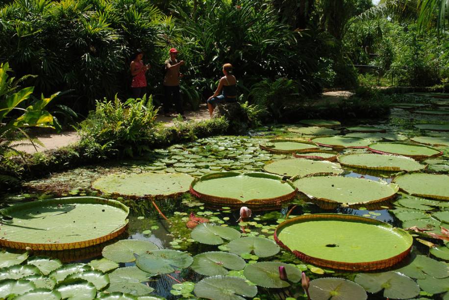 <strong>5. <a href="https://viajeaqui.abril.com.br/cidades/br-pa-belem" rel="Belém " target="_blank">Belém </a></strong>A capital do <a href="https://viajeaqui.abril.com.br/estados/br-para" rel="Pará" target="_blank">Pará</a> difere bastante das antecessoras na lista. Suas principais atrações têm uma pegada mais amazônica. Em um final de semana, é possível conhecer o <a href="https://viajeaqui.abril.com.br/estabelecimentos/br-pa-belem-atracao-mercado-ver-o-peso" rel="Mercado Ver-o-Peso" target="_blank">Mercado Ver-o-Peso</a>, o <a href="https://viajeaqui.abril.com.br/estabelecimentos/br-pa-belem-atracao-forte-do-presepio" rel="Forte do Presépio" target="_blank">Forte do Presépio</a>, o <a href="https://viajeaqui.abril.com.br/estabelecimentos/br-pa-belem-restaurante-remanso-do-bosque" rel="Remanso do Bosque" target="_blank">Remanso do Bosque</a> e o <a href="https://viajeaqui.abril.com.br/estabelecimentos/br-pa-belem-atracao-parque-zoobotanico-museu-paraense-emilio-goeldi" rel="Parque Emílio Goeldi" target="_blank">Parque Emílio Goeldi</a>.Saiba mais detalhes em um roteiro de <a href="https://viajeaqui.abril.com.br/materias/48-horas-em-belem-do-para" rel="48 horas em Belém do Pará" target="_blank"><strong>48 horas em Belém do Pará</strong></a> <strong>5. <a href="https://viajeaqui.abril.com.br/cidades/br-pa-belem" rel="Belém " target="_blank">Belém </a></strong>A capital do <a href="https://viajeaqui.abril.com.br/estados/br-para" rel="Pará" target="_blank">Pará</a> difere bastante das antecessoras na lista. Suas principais atrações têm uma pegada mais amazônica. Em um final de semana, é possível conhecer o <a href="https://viajeaqui.abril.com.br/estabelecimentos/br-pa-belem-atracao-mercado-ver-o-peso" rel="Mercado Ver-o-Peso" target="_blank">Mercado Ver-o-Peso</a>, o <a href="https://viajeaqui.abril.com.br/estabelecimentos/br-pa-belem-atracao-forte-do-presepio" rel="Forte do Presépio" target="_blank">Forte do Presépio</a>, o <a href="https://viajeaqui.abril.com.br/estabelecimentos/br-pa-belem-restaurante-remanso-do-bosque" rel="Remanso do Bosque" target="_blank">Remanso do Bosque</a> e o <a href="https://viajeaqui.abril.com.br/estabelecimentos/br-pa-belem-atracao-parque-zoobotanico-museu-paraense-emilio-goeldi" rel="Parque Emílio Goeldi" target="_blank">Parque Emílio Goeldi</a>.Saiba mais detalhes em um roteiro de <a href="https://viajeaqui.abril.com.br/materias/48-horas-em-belem-do-para" rel="48 horas em Belém do Pará" target="_blank"><strong>48 horas em Belém do Pará</strong></a>