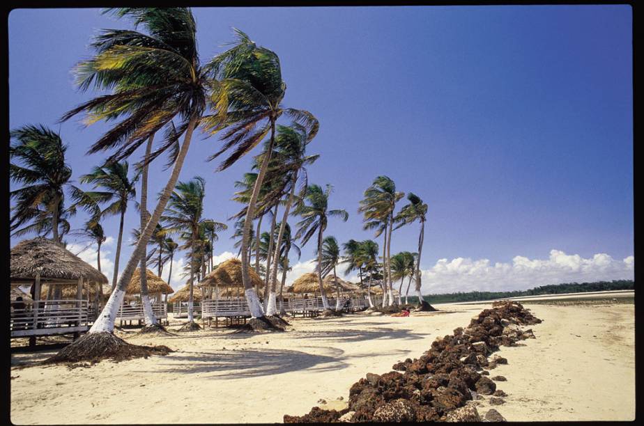 Banhada pelas águas do rio Amazonas e do Oceano Atlântico, a <a href="https://viajeaqui.abril.com.br/cidades/br-pa-ilha-de-marajo"><strong>Ilha de Marajó</strong></a> é a maior ilha fluviomarinha do mundo. Com praias desertas, búfalos por toda a parte e sítios habitados por índios marajoaras no passado, Marajó é um dos destinos mais exóticos do Brasil