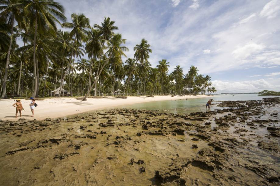 A Praia dos Carneiros em Tamandaré (PE) pode não ser extensa, mas concentra quase todos os atributos de uma praia digna de cartão-postal: coqueirais fazendo sombra sobre a areia clara, mar verde-transparente e piscinas naturais repletas de peixes coloridos