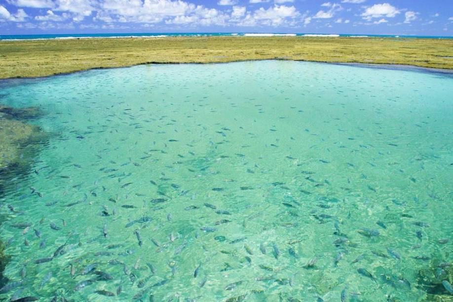 As piscinas naturais e cristalinas de Porto de Galinhas são uma das atrações do povoado pernambucano