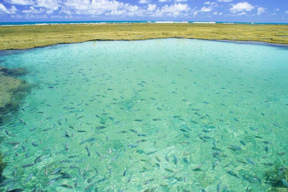 As piscinas naturais e cristalinas de Porto de Galinhas s&atilde;o uma das atra&ccedil;&otilde;es do povoado pernambucano