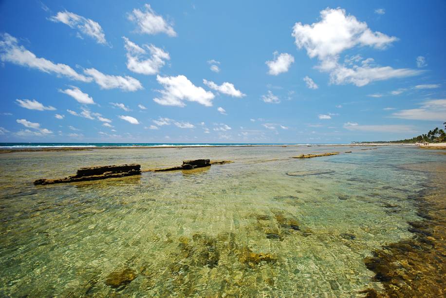 A praia Muro Alto tem um grande "lago natural", de &aacute;guas calmas e transparentes, limitado por um pared&atilde;o de recifes