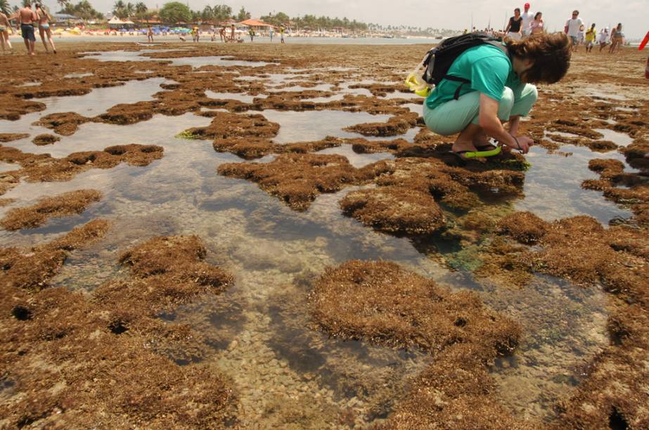 As piscinas naturais de Porto de Galinhas atraem mais de meio milhão de turistas todo ano