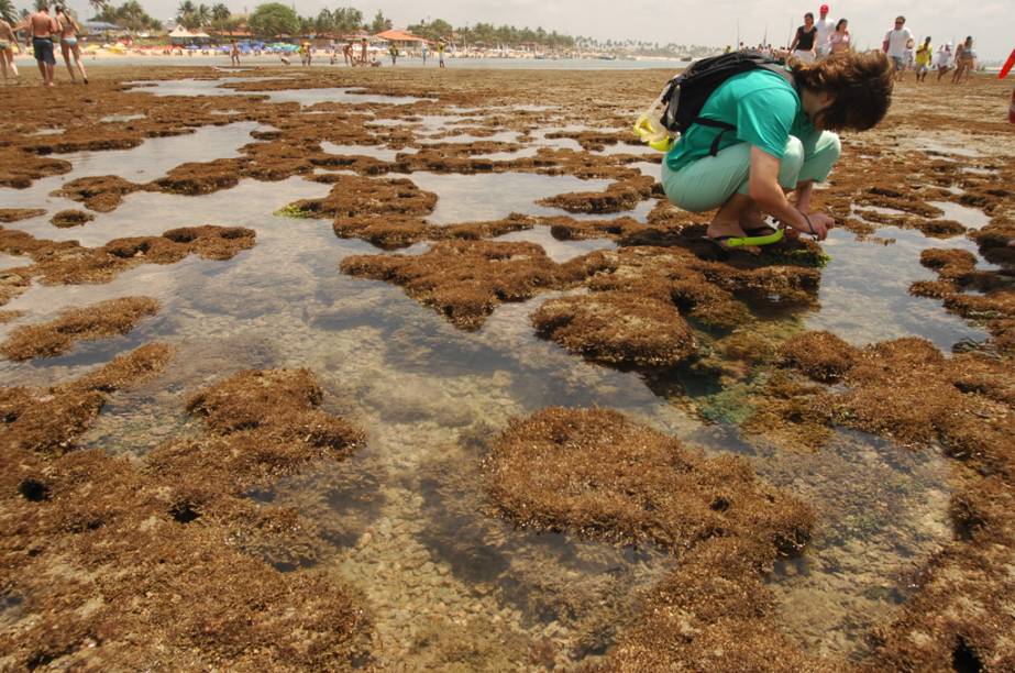 As piscinas naturais de Porto de Galinhas atraem mais de meio milh&atilde;o de turistas todo ano