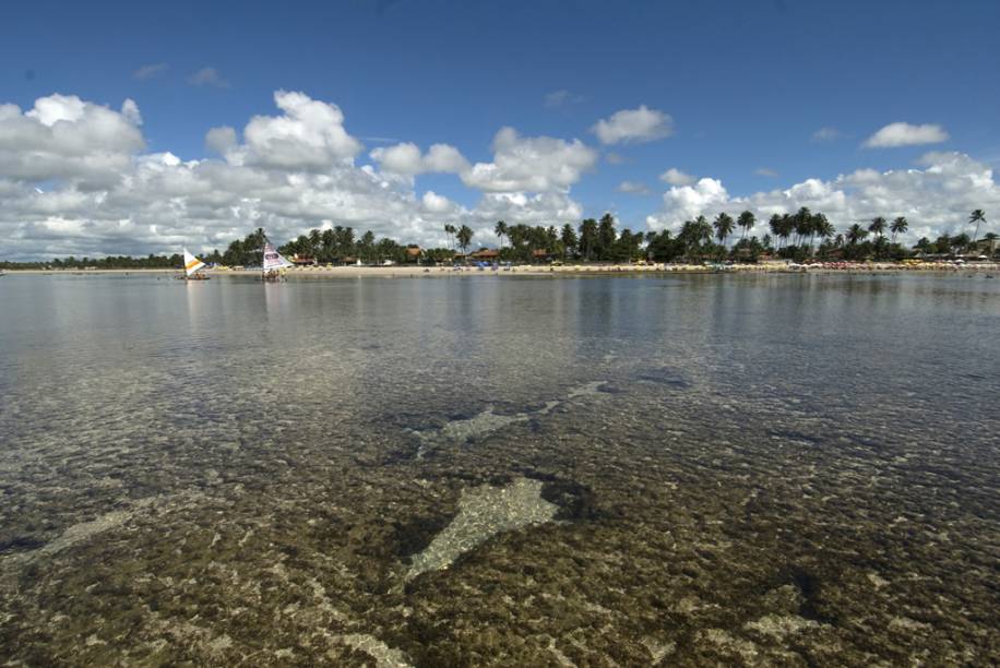 Jangadas levam os turistas às piscinas naturais com águas cristalinas