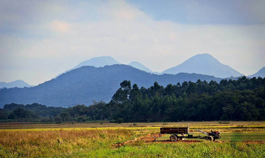 <a href="https://viajeaqui.abril.com.br/cidades/br-sc-joinville" rel="5. Joinville (SC)" target="_self"><strong>5. Joinville (SC)</strong></a> Para entrar de vez no clima bucólico dos campos alemães ou noruegueses, faça um passeio pelos sítios e fazendas da região de Joinville; entre as atrações do <strong><a href="https://viajeaqui.abril.com.br/estabelecimentos/br-sc-joinville-atracao-roteiros-de-turismo-rural" rel="roteiro de turismo rural" target="_blank">Roteiro de Turismo Rural</a></strong>, estão os produtores de melado e de flores, que servem café colonial em suas propriedades <a href="https://viajeaqui.abril.com.br/cidades/br-sc-joinville" rel="5. Joinville (SC)" target="_self"><strong>5. Joinville (SC)</strong></a> Para entrar de vez no clima bucólico dos campos alemães ou noruegueses, faça um passeio pelos sítios e fazendas da região de Joinville; entre as atrações do <strong><a href="https://viajeaqui.abril.com.br/estabelecimentos/br-sc-joinville-atracao-roteiros-de-turismo-rural" rel="roteiro de turismo rural" target="_blank">Roteiro de Turismo Rural</a></strong>, estão os produtores de melado e de flores, que servem café colonial em suas propriedades