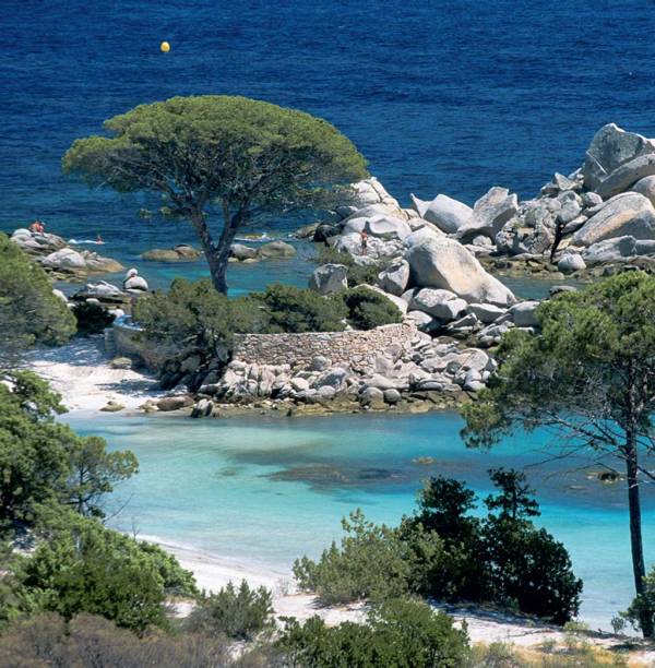 Cores saturadas do mar de Palombaggia Cores saturadas do mar de Palombaggia