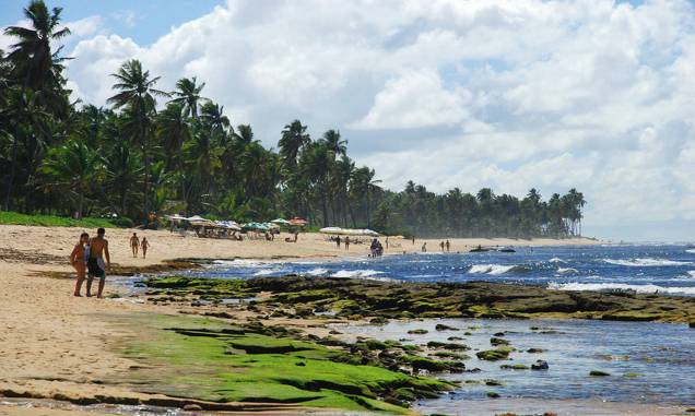 <a href="https://viajeaqui.abril.com.br/cidades/br-ba-praia-do-forte" rel="PRAIA DO FORTE" target="_self"><strong>PRAIA DO FORTE</strong></a>Ao norte de <a href="https://viajeaqui.abril.com.br/cidades/br-ba-salvador" rel="Salvador" target="_self">Salvador</a>, o destino é queridinho de famílias com crianças, que aproveitam a boa infra hoteleira e o mar cheio de piscinas naturais. De julho a outubro, quando as baleias-jubarte migram do Polo Sul para se reproduzir no litoral baiano, não faltam passeios de escuna para avistagem dos mamíferos. O programa começa com uma palestra no <a href="https://www.baleiajubarte.org.br/home.php" rel="Instituto Baleia Jubarte" target="_self">Instituto Baleia Jubarte</a>, e requer reserva em agências como a <a href="https://bit.ly/ pt_m" rel="Portomar" target="_blank">Portomar</a>. Neste pacote, as sete noites são no <a href="https://bit.ly/v_crs" rel="Via dos Corais" target="_blank">Via dos Corais</a>.<strong>QUANDO</strong> Em 15 de julho<strong>QUEM LEVA</strong> A <a href="https://bit.ly/vi_su" rel="Visual" target="_blank">Visual</a> <strong>QUANTO</strong> R$ 2 178 <a href="https://viajeaqui.abril.com.br/cidades/br-ba-praia-do-forte" rel="PRAIA DO FORTE" target="_self"><strong>PRAIA DO FORTE</strong></a>Ao norte de <a href="https://viajeaqui.abril.com.br/cidades/br-ba-salvador" rel="Salvador" target="_self">Salvador</a>, o destino é queridinho de famílias com crianças, que aproveitam a boa infra hoteleira e o mar cheio de piscinas naturais. De julho a outubro, quando as baleias-jubarte migram do Polo Sul para se reproduzir no litoral baiano, não faltam passeios de escuna para avistagem dos mamíferos. O programa começa com uma palestra no <a href="https://www.baleiajubarte.org.br/home.php" rel="Instituto Baleia Jubarte" target="_self">Instituto Baleia Jubarte</a>, e requer reserva em agências como a <a href="https://bit.ly/ pt_m" rel="Portomar" target="_blank">Portomar</a>. Neste pacote, as sete noites são no <a href="https://bit.ly/v_crs" rel="Via dos Corais" target="_blank">Via dos Corais</a>.<strong>QUANDO</strong> Em 15 de julho<strong>QUEM LEVA</strong> A <a href="https://bit.ly/vi_su" rel="Visual" target="_blank">Visual</a> <strong>QUANTO</strong> R$ 2 178