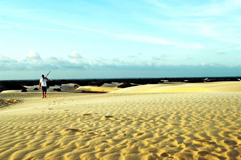 <strong>12. <a href="https://viajeaqui.abril.com.br/estabelecimentos/br-al-penedo-atracao-praia-do-peba" rel="Praia do Peba (AL)" target="_blank">Praia do Peba (AL)</a></strong>    Localizada no munic&iacute;pio de Pia&ccedil;abu&ccedil;u, a <a href="https://viajeaqui.abril.com.br/estabelecimentos/br-al-penedo-atracao-praia-do-peba" rel="Praia do Peba" target="_self">Praia do Peba</a> &eacute; uma praia selvagem, deserta, formada em sua maior parte por cerca de 21 quil&ocirc;metros de dunas. Trata-se de uma vila de pescadores com quase nenhuma estrutura tur&iacute;stica, mas vale a pena passear por l&aacute; para conferir o nascer ou o p&ocirc;r do sol. As dunas alcan&ccedil;am 40 metros de altura e, entre os meses de maio e setembro, emolduram lagoas que se formam nos baixios do terreno. O local serve como ponto de desova de tartarugas-marinhas