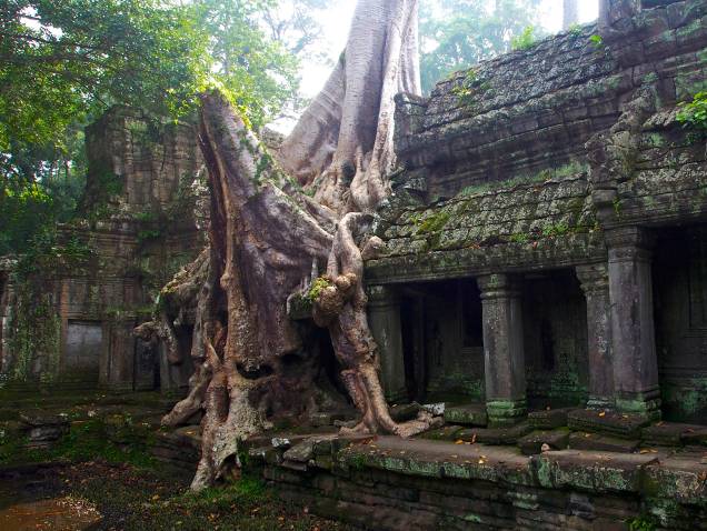<strong>5. Preah Khan</strong>Assim como o Ta Prohm, que fica bem próximo, o Preah Khan também está largamente destruído (e melhorado?) pela natureza luxuriante da região. Sua arquitetura é plana, bem mais simples que outros templos desta lista, mas com muitos "puxadinhos" acrescentados posteriormente à sua inauguração <strong>5. Preah Khan</strong>Assim como o Ta Prohm, que fica bem próximo, o Preah Khan também está largamente destruído (e melhorado?) pela natureza luxuriante da região. Sua arquitetura é plana, bem mais simples que outros templos desta lista, mas com muitos "puxadinhos" acrescentados posteriormente à sua inauguração