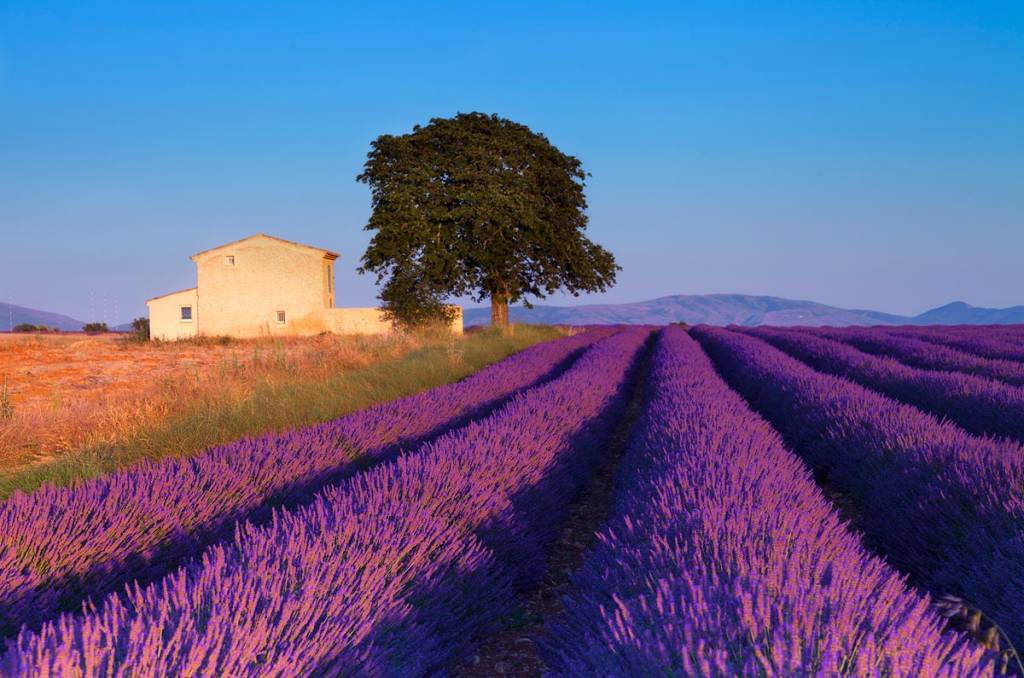 <strong><a href="https://viajeaqui.abril.com.br/cidades/franca-aixenprovence" rel="Proven&ccedil;a" target="_blank">Proven&ccedil;a</a>, Fran&ccedil;a</strong>Pegue sua bicicleta e perca-se entre os campos de flores de <a href="https://viajeaqui.abril.com.br/cidades/franca-aixenprovence" rel="Proven&ccedil;a" target="_blank">Aix-en-Provence</a>. Pare em um restaurante &agrave; beira da estrada e prove comidinhas com aromas e sabores maravilhosos. Queijo, p&atilde;o, manteiga e vinho, coisas simples far&atilde;o seu dia.Quando chegar a um campo despudoradamente encantador, repleto de lavandas ao vento, desembarque e curta com seu par essa paisagem t&atilde;o especial. E n&atilde;o se esque&ccedil;a do lugar onde estacionou sua bike...