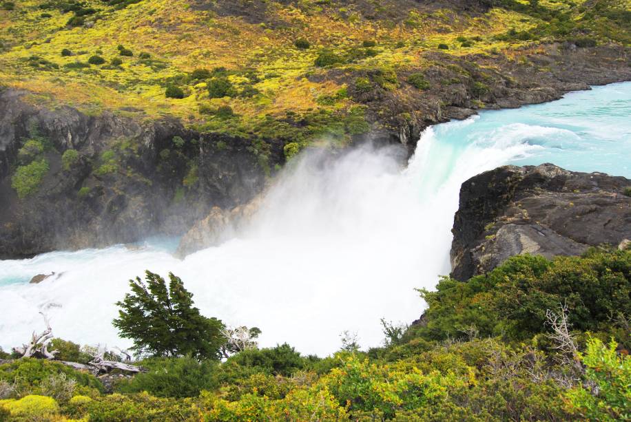 Do lado da <a href="https://viajeaqui.abril.com.br/cidades/ar-patagonia" rel="Patagônia" target="_blank">Patagônia</a> chilena, a floresta de <strong>Huilo-Huilo</strong> já ganhou o apelido de "encantada" pelos visitantes e moradores da região. Aqui, é possível encontrar vulcões nevados, rios, lagos, bosques e até cachoeiras - paisagens que destoam um pouco das geleiras e montanhas que marcam sua identidade
