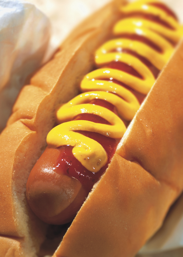 Cachorro-quente Cachorro-quente