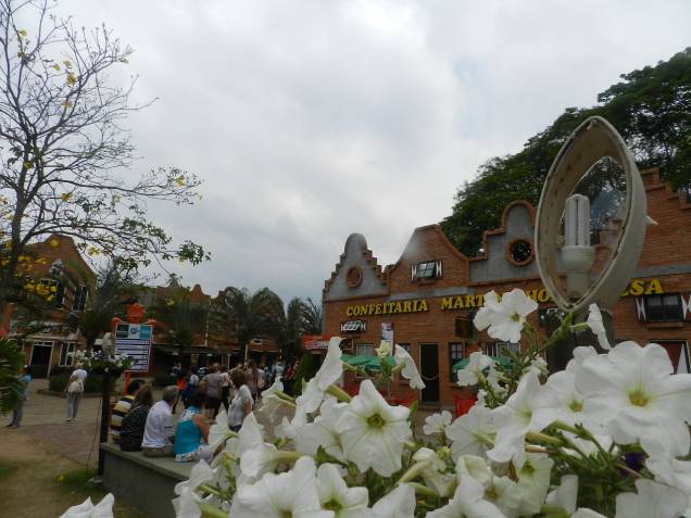 Apesar de ter cerca de 11 mil habitantes apenas, a cidade de Holambra corresponde a 50% das vendas do setor de floricultura Apesar de ter cerca de 11 mil habitantes apenas, a cidade de Holambra corresponde a 50% das vendas do setor de floricultura