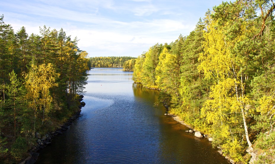 <strong>17. Parque Nacional de Repovesi, Kouvola, <a href="https://viajeaqui.abril.com.br/paises/finlandia" rel="Finlândia" target="_self">Finlândia</a></strong>            Entre os países nórdicos, a Finlândia é um dos mais encantadores. Sua história conta com a presença da cerâmica desde os primórdios, que permanece até hoje como parte importante do artesanato do país. Na Idade Média, o território foi ocupado por suecos, sobretudo durante as Cruzadas. Mas é na natureza que se concentra boa parte de sua beleza, com milhares de lagos, ilhas e a presença forte de florestas boreais. O Parque Nacional de Repovesi é dominado por pinheiros e bétulas, além de incluir a presença de ursos e cervos. Seus cenários fazem com que o visitante sinta-se parte das lendas finlandesas que teriam inspirado o universo fantástico de J. R. R Tolkien.            <a href="https://www.booking.com/city/fi/kouvola.pt-br.html?sid=efe6c9de408bb8d78e20e017e616e9f8;dcid=4?aid=332455&label=viagemabril-florestasencantadas" rel="Veja preços de hotéis próximos a Kouvola no Booking.com" target="_blank">Veja preços de hotéis em Kouvola no Booking.com</a>