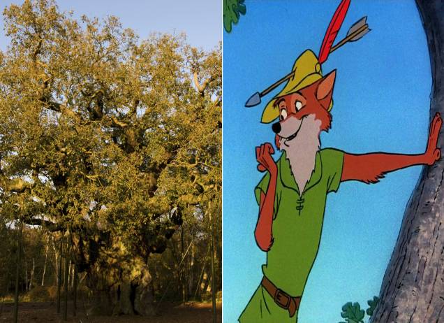 <strong>Floresta de Sherwood, Nottingham, <a href="https://viajeaqui.abril.com.br/paises/reino-unido?iframe=true" rel="Reino Unido" target="_self">Reino Unido</a> (<em>Robin Hood)</em></strong> A lenda do ladrão, que roubava dos ricos para dar aos pobres, também foi abordada pelo estúdio. A floresta na qual o herói teria vivido, na época do reinado de Ricardo Coração de Leão, é constantemente visitada por turistas, sobretudo na época do festival temático, com atividades como arco e flecha e apresentações de música. O desenho, é claro, não poderia ser mais divertido <em><a href="https://www.booking.com/city/gb/nottingham.pt-br.html?aid=332455&label=viagemabril-destinos-inspiradores-dos-estudios-disney" rel="Veja preços de hotéis em Nottingham no Booking.com" target="_blank">Veja preços de hotéis em Nottingham no Booking.com</a></em> <strong>Floresta de Sherwood, Nottingham, <a href="https://viajeaqui.abril.com.br/paises/reino-unido?iframe=true" rel="Reino Unido" target="_self">Reino Unido</a> (<em>Robin Hood)</em></strong> A lenda do ladrão, que roubava dos ricos para dar aos pobres, também foi abordada pelo estúdio. A floresta na qual o herói teria vivido, na época do reinado de Ricardo Coração de Leão, é constantemente visitada por turistas, sobretudo na época do festival temático, com atividades como arco e flecha e apresentações de música. O desenho, é claro, não poderia ser mais divertido <em><a href="https://www.booking.com/city/gb/nottingham.pt-br.html?aid=332455&label=viagemabril-destinos-inspiradores-dos-estudios-disney" rel="Veja preços de hotéis em Nottingham no Booking.com" target="_blank">Veja preços de hotéis em Nottingham no Booking.com</a></em>