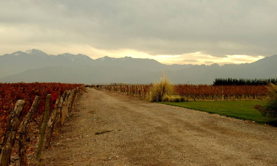 <strong><a href="https://bodegarucamalen.com/" rel="5. Ruca Malén" target="_blank">5. Ruca Malén</a> (<a href="https://viajeaqui.abril.com.br/cidades/ar-mendoza" rel="Mendoza" target="_self">Mendoza</a>, <a href="https://viajeaqui.abril.com.br/paises/argentina" rel="Argentina" target="_self">Argentina</a>) </strong>    A bodega leva o nome de uma jovem mapuche (tribo indígena de regiões do <a href="https://viajeaqui.abril.com.br/paises/chile" rel="Chile" target="_self">Chile</a> e da <a href="https://viajeaqui.abril.com.br/paises/argentina" rel="Argentina" target="_self">Argentina</a>), cuja lenda revela a paixão por um deus. Localizada na região de Lujan de Cuyo, a 20 km do Centro de Mendoza, a vinícola aposta no menu degustação para surpreender seus visitantes, com cinco etapas de harmonização e uma bela visão dos parreirais. É necessário reservar o almoço com antecedência, pois a procura é grande.