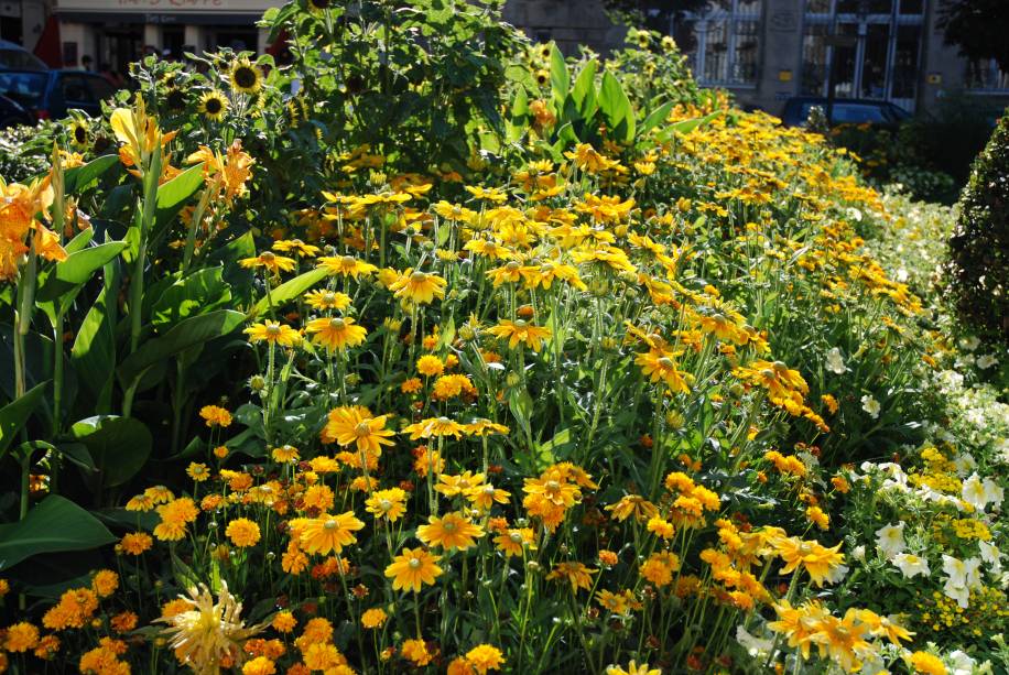 <a href="https://viajeaqui.abril.com.br/cidades/franca-saint-malo" rel="Saint Malo" target="_blank"><strong>Saint Malo</strong></a> Na região da Bretanha, Saint Malo, além de ser conhecida como a cidade dos piratas, também é uma das várias cidadezinhas medievais e muradas da França. Para animar esse clima um tanto quanto fechado, o lugar é abastecido de flores por todos os cantos <a href="https://viajeaqui.abril.com.br/cidades/franca-saint-malo" rel="Saint Malo" target="_blank"><strong>Saint Malo</strong></a> Na região da Bretanha, Saint Malo, além de ser conhecida como a cidade dos piratas, também é uma das várias cidadezinhas medievais e muradas da França. Para animar esse clima um tanto quanto fechado, o lugar é abastecido de flores por todos os cantos