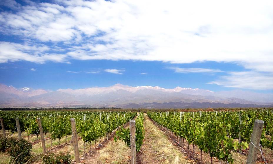 <strong><a href="https://veniceturismo.com.br" rel="VENICE" target="_blank">VENICE</a></strong><strong>O QUE ELA FAZ POR VOCÊ:</strong> Tem pacote luxuoso <a href="https://viajeaqui.abril.com.br/cidades/ar-buenos-aires-argentina/fotos" rel="BsAs" target="_self">BsAs</a> + <strong><a href="https://viajeaqui.abril.com.br/cidades/ar-mendoza" rel="Mendoza" target="_self">Mendoza</a></strong>.<strong>PACOTE:</strong> As três noites cinco-estrelas no <a href="https://sofitel.com" rel="Sofitel Buenos Aires" target="_blank">Sofitel Buenos Aires</a> se completam com outras três no <a href="https://bit.ly/ hy_mn" rel="Park Hyatt Mendoza" target="_blank">Park Hyatt Mendoza</a>, de onde partem tours para vinícolas locais. Custa US$ 1 524 <strong><a href="https://veniceturismo.com.br" rel="VENICE" target="_blank">VENICE</a></strong><strong>O QUE ELA FAZ POR VOCÊ:</strong> Tem pacote luxuoso <a href="https://viajeaqui.abril.com.br/cidades/ar-buenos-aires-argentina/fotos" rel="BsAs" target="_self">BsAs</a> + <strong><a href="https://viajeaqui.abril.com.br/cidades/ar-mendoza" rel="Mendoza" target="_self">Mendoza</a></strong>.<strong>PACOTE:</strong> As três noites cinco-estrelas no <a href="https://sofitel.com" rel="Sofitel Buenos Aires" target="_blank">Sofitel Buenos Aires</a> se completam com outras três no <a href="https://bit.ly/ hy_mn" rel="Park Hyatt Mendoza" target="_blank">Park Hyatt Mendoza</a>, de onde partem tours para vinícolas locais. Custa US$ 1 524